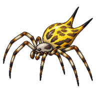 Difoliate Orbweaver