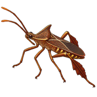 Leaf-footed Bug