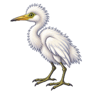 Great Egret Nestling
