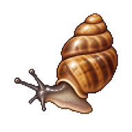Common Whorl Snail