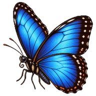 Blue Morpho