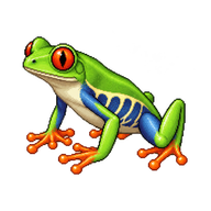 Lemur Leaf Frog