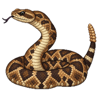 South American Rattlesnake