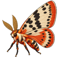 Gummiveneer Moth