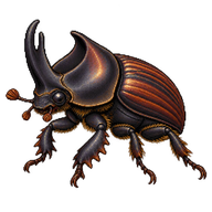 Dung Beetle
