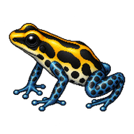 Sira Poison Frog