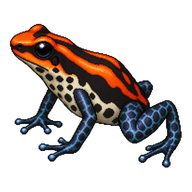 Pleasing Poison Frog