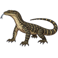 Spotted Tree Monitor