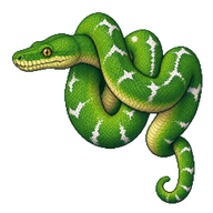 Emerald Tree Boa