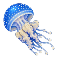 Australian Spotted Jellyfish