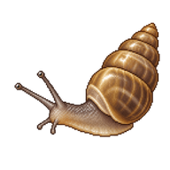 Snail