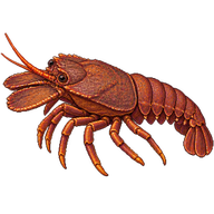 Sculptured Mitten Lobster