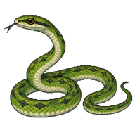 Baron's Green Racer