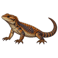 Highveld Crag Lizard