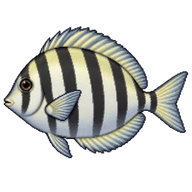 Convict Tang