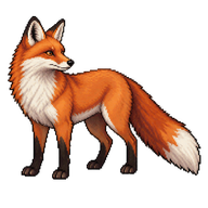Red Fox