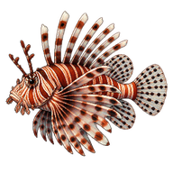 Zebra Lionfish