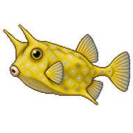 Longhorn Cowfish
