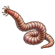 Tongue Worm