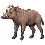 Sulawesi Babirusa