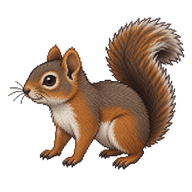 Andean Squirrel Kit