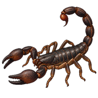 Carpathian Scorpion