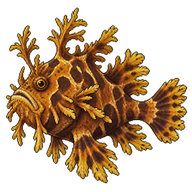 Sargassum Fish