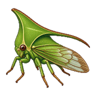 Green Treehopper