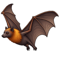 Small Flying Fox
