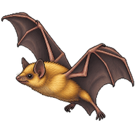 Lesser Asiatic Yellow House Bat