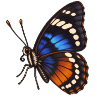 Constable Butterfly