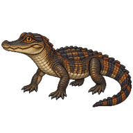 Dwarf Caiman