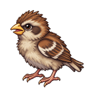 Italian Sparrow Hatchling