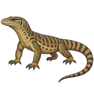 Varanus caspius