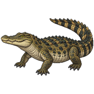 Cuban Crocodile
