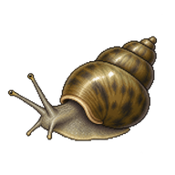 Faucet Snail