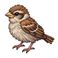 Italian Sparrow Fledgling