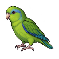 Green-rumped Parrotlet