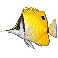 Longnose Butterflyfish