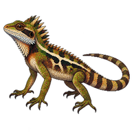 Boulenger's Pricklenape