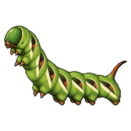 Arcaei Moth Caterpillar