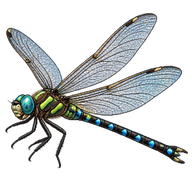 Phantom Darner