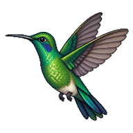 Glittering-bellied Emerald