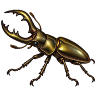Stag Beetle