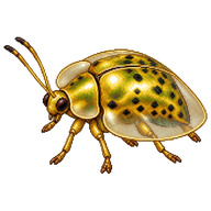 Common Tortoise Beetle