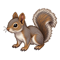 Eastern Grey Squirrel Kit