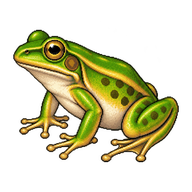Green and Golden Bell Frog