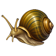 South Asian applesnail