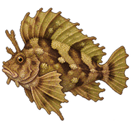 Leaf Fish