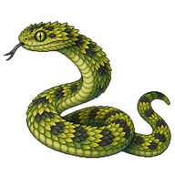 Ashe's Bush Viper
